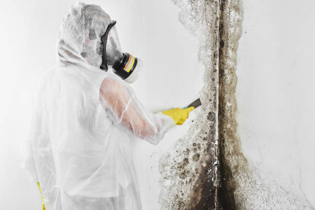 Mold Remediation for Vacation Homes in Contoocook, NH